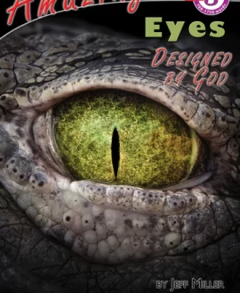 Amazing Eyes Designed by God Book