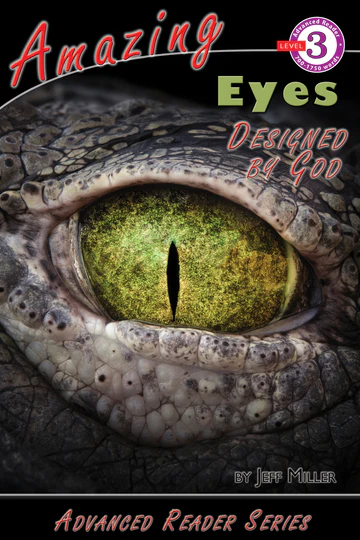 Amazing Eyes Designed by God Book