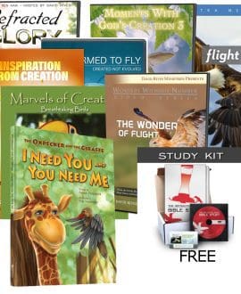 Birds, Mutualism, Biomimicry and more bundle