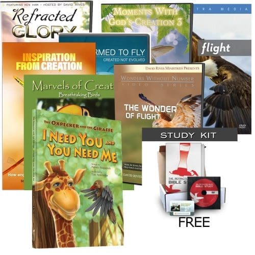 Birds, Mutualism, Biomimicry and more bundle