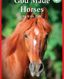 God Made Horses Book