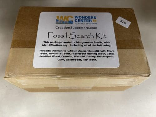 Creation Superstore Fossil Search Kit