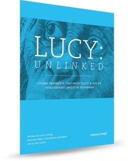 Lucy Unlinked