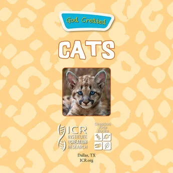 God Created Cats 2