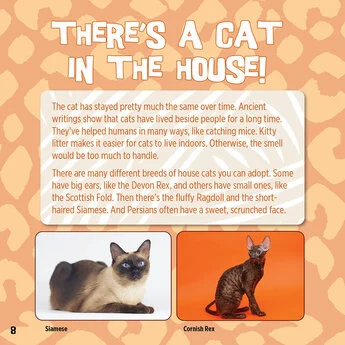 God Created Cats 3