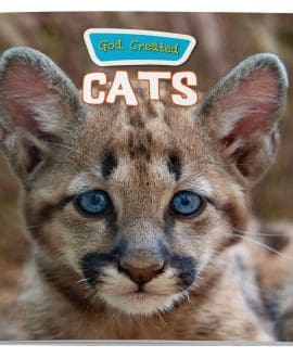 God Created Cats