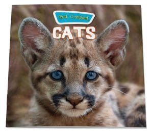 God Created Cats