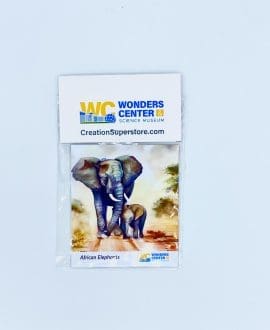 African Elephants Magnet