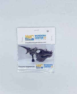 Dracorex Hogwartsia Magnet