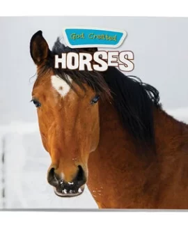 God Created Horses 1