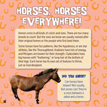 God Created Horses 2