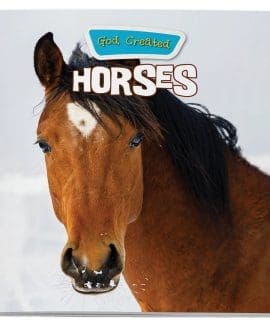 God Created Horses