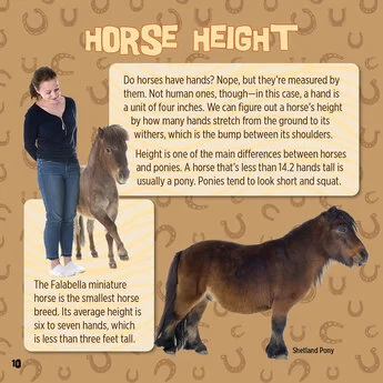 God Created Horses 4