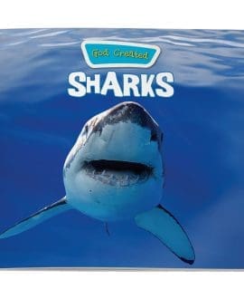 God Created Sharks