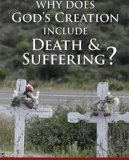 Why Does God's Creation Include Death and Suffering