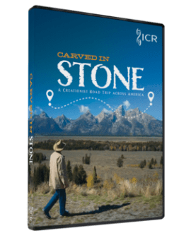 Carved in Stone DVD