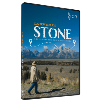 Carved in Stone DVD