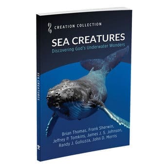 Sea Creatures 1