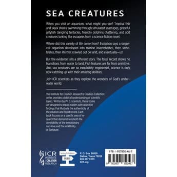 Sea Creatures 9