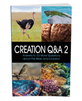 Creation Q&A 2 Cover