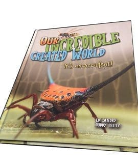 Our Incredible Created World