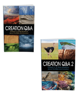 Creation Q&A: 1+2