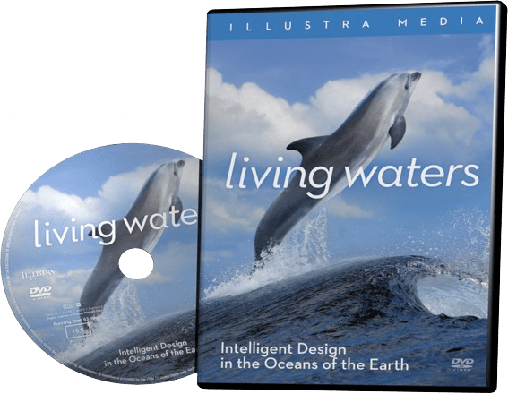 Living Waters