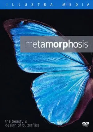 Top 20 Metamorphosis