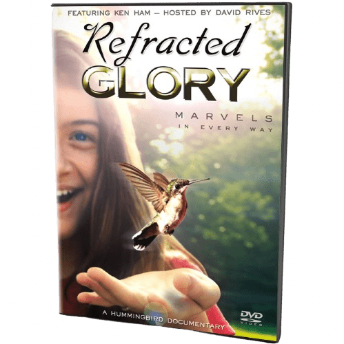 Top 20 Refracted Glory