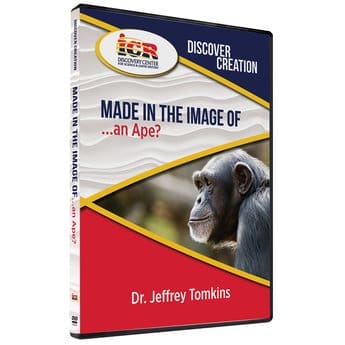 Made in the Image of an Ape