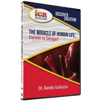 The Miracle of Human Life
