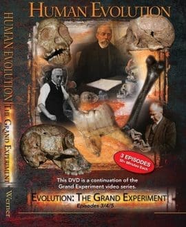 Human Evolution Episodes 3-5