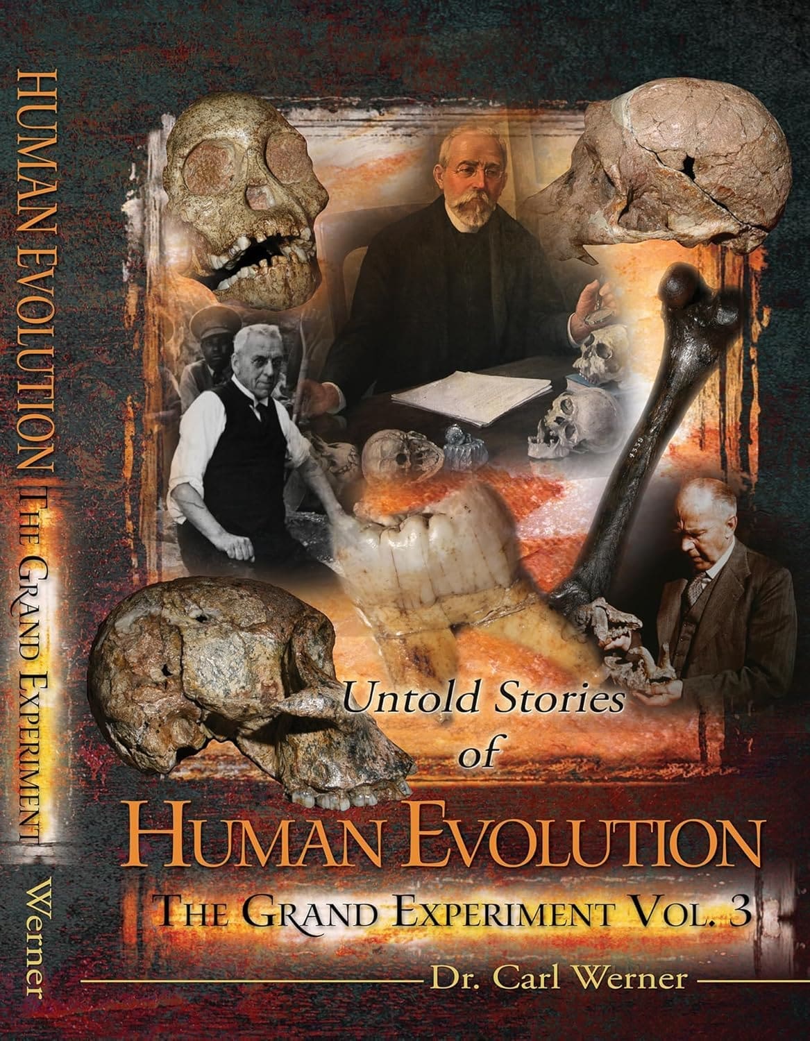 Untold Stories of Human Evolution