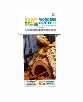 "Blackbeard" Leatherback Bearded Dragon Magnet by the Creation Superstore