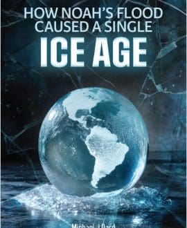 How Noah's Flood Caused a Single Ice Age