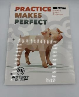 Practice Makes Perfect Book by Angela O'Dell