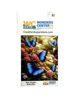 Blue Morpho Butterflies Magnet by The Creation Superstore