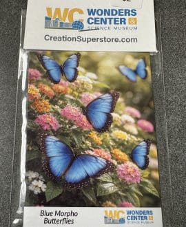 Blue Morpho Butterflies Magnet by The Creation Superstore
