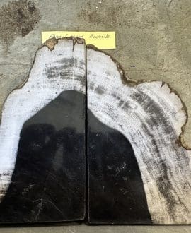 Bookends Petrified Wood