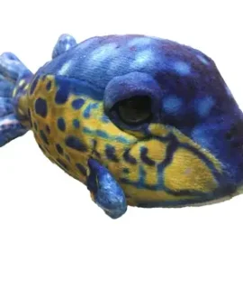 Box Fish Stuffed Animal by Texas Toy Distribution I Faire