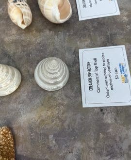 Commercial Top Shell