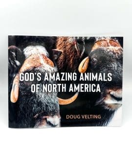 Gods Amazing Animals of North America by Doug Velting